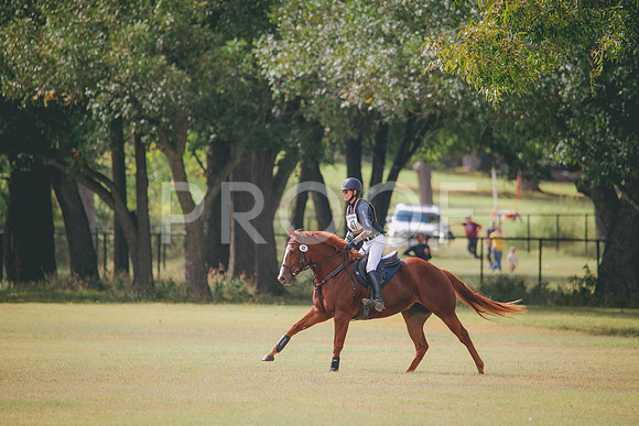 RWP_5163