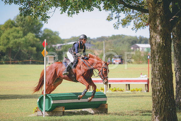 RWP_5179
