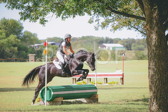 RWP_5219