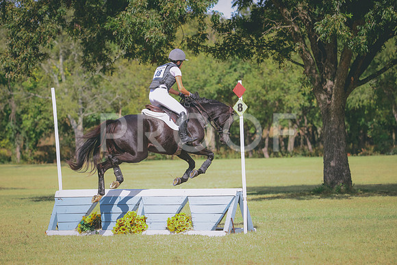 RWP_5233