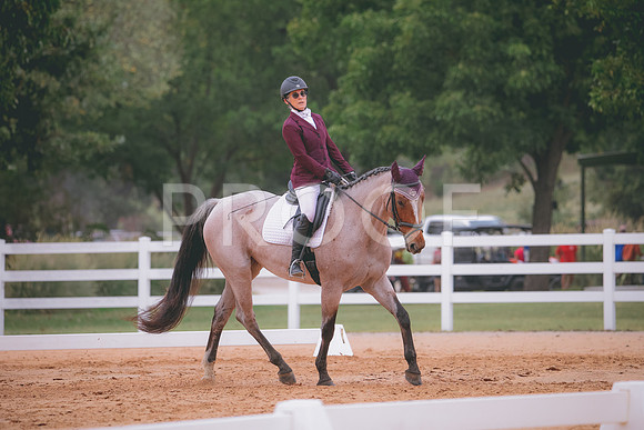 RWP_3136