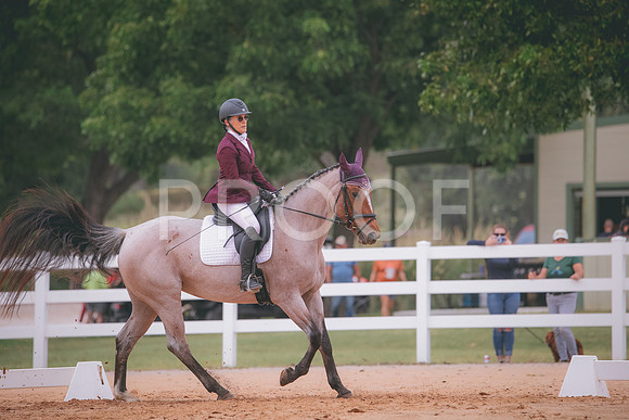 RWP_3141