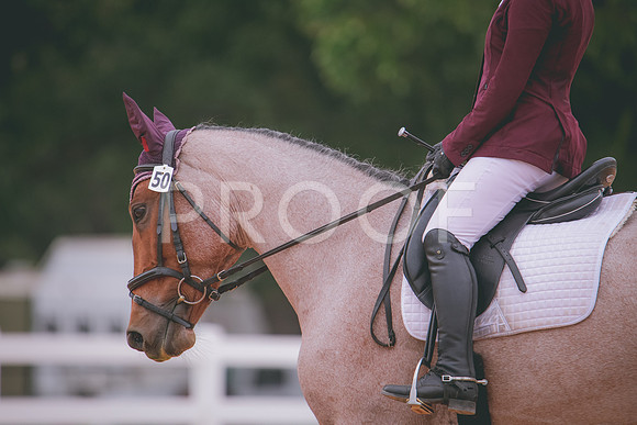 RWP_3140