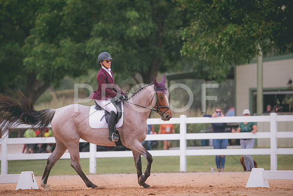RWP_3142