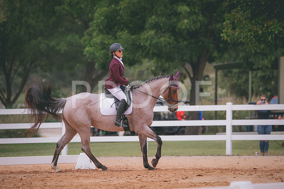 RWP_3144