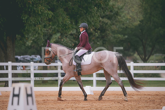 RWP_3161