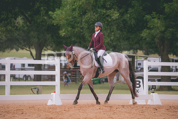 RWP_3167