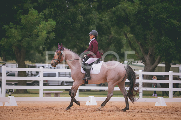 RWP_3170