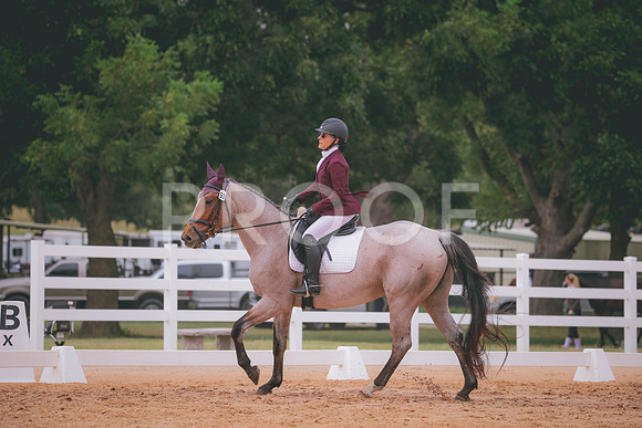 RWP_3171