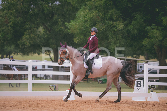 RWP_3173