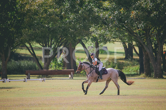 RWP_5249
