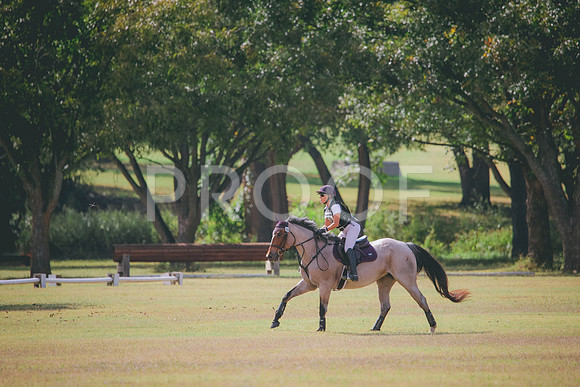RWP_5250