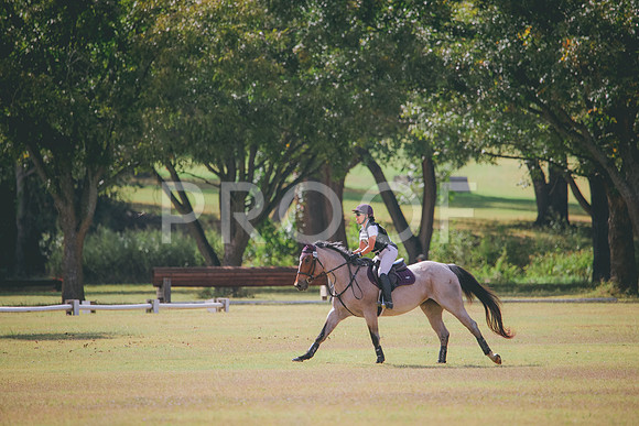 RWP_5251