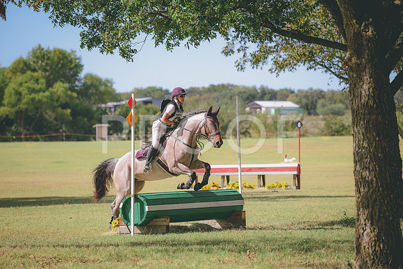 RWP_5263