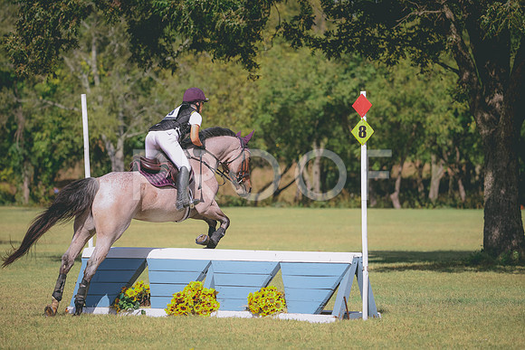 RWP_5271