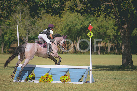 RWP_5272