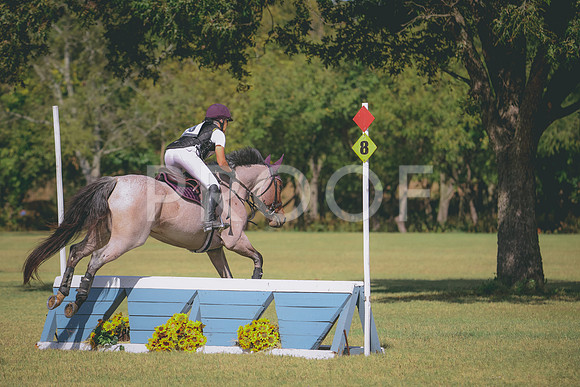 RWP_5273
