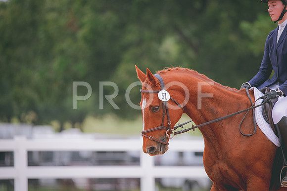 RWP_3263