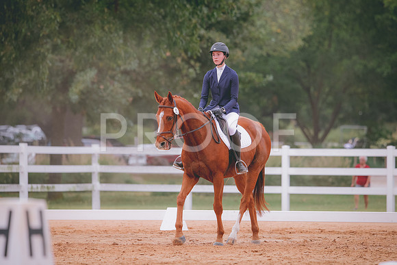 RWP_3256