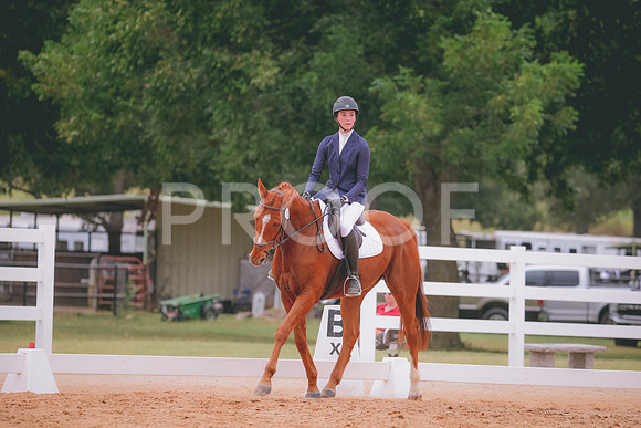 RWP_3295