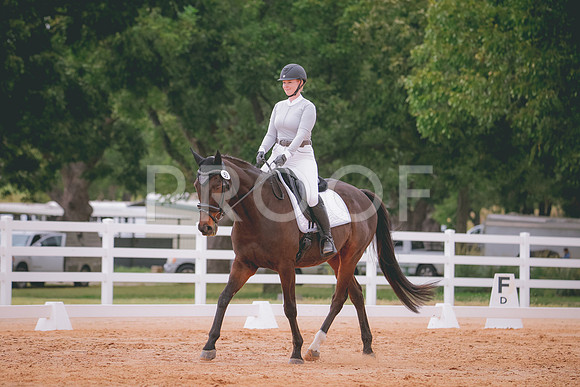 RWP_3514