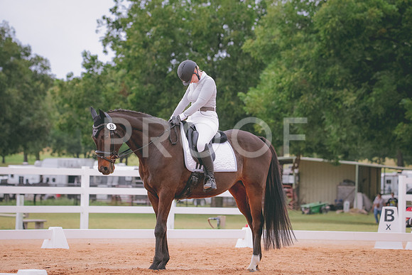 RWP_3516