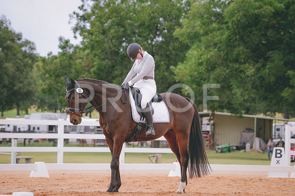RWP_3517