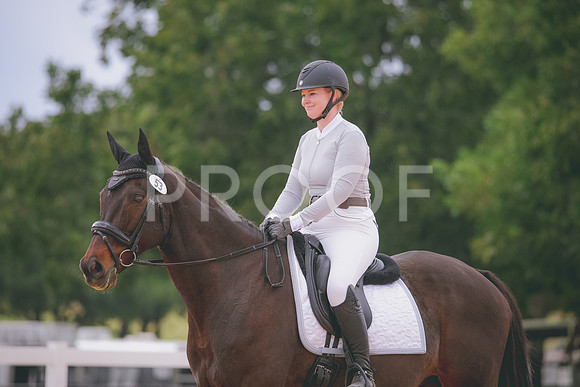 RWP_3519