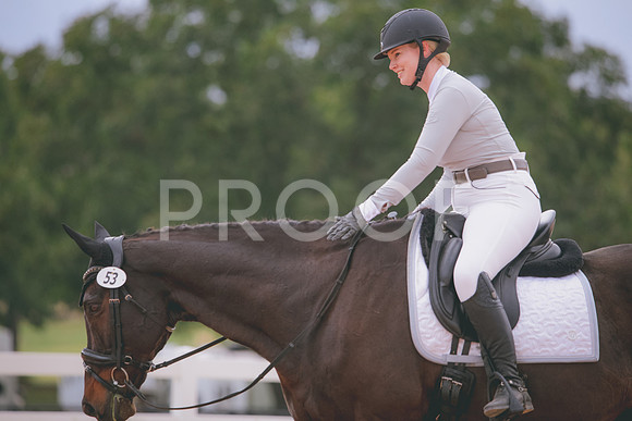 RWP_3522