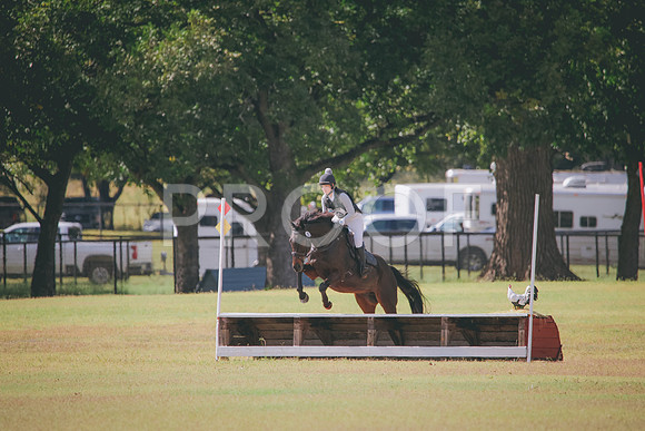 RWP_5279