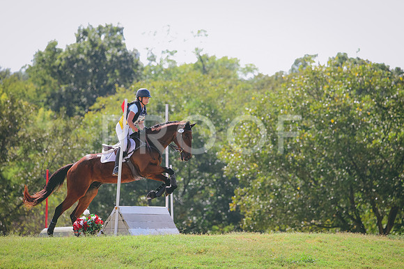 RWP_5319