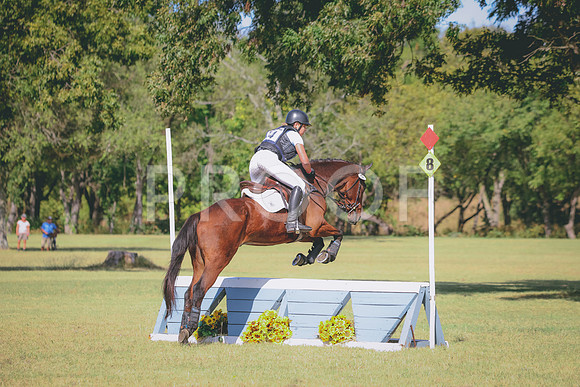 RWP_5339