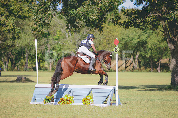 RWP_5341