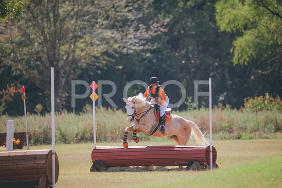 RWP_5354