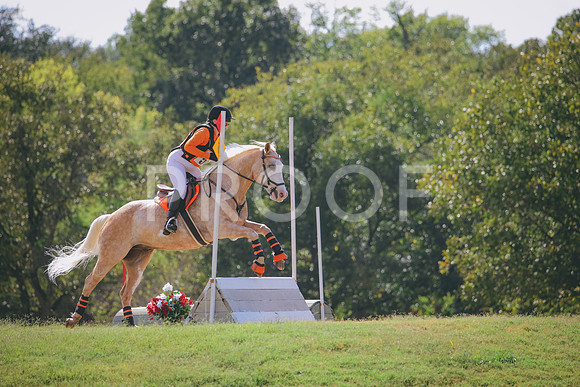 RWP_5358
