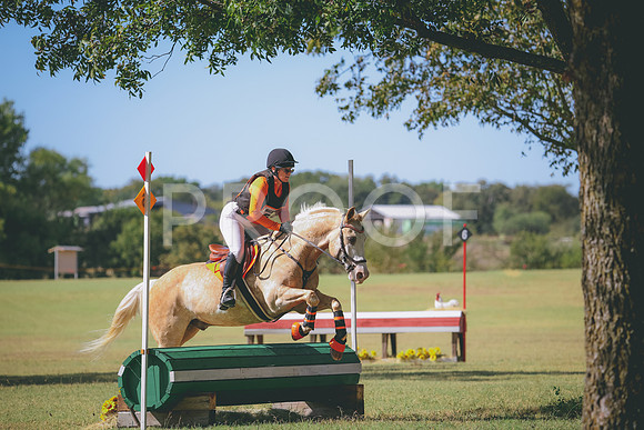 RWP_5366
