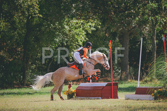 RWP_5377