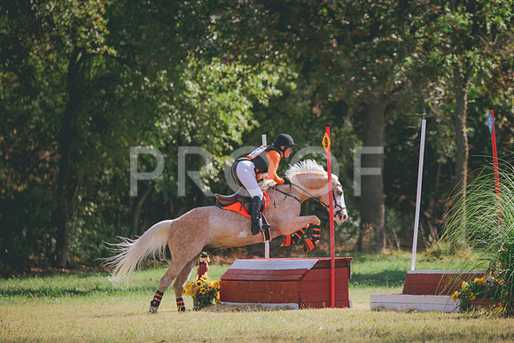 RWP_5378