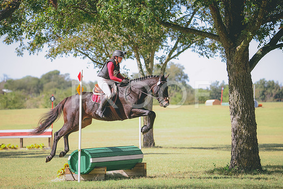 RWP_5431