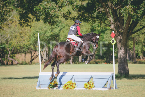 RWP_5446