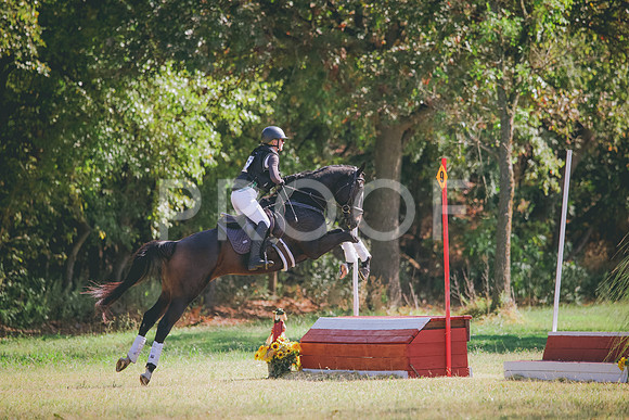RWP_5570
