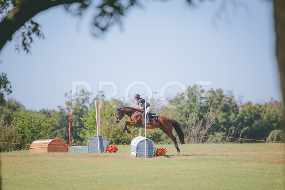 RWP_5501