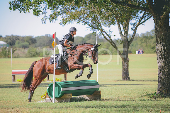 RWP_5518