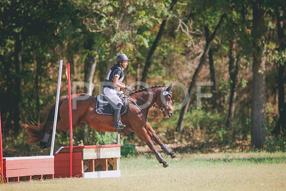 RWP_5536
