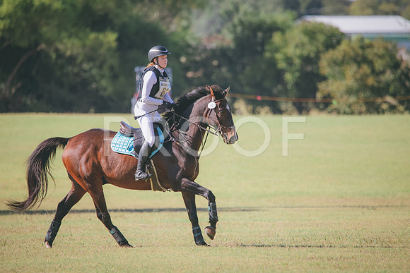 RWP_5587