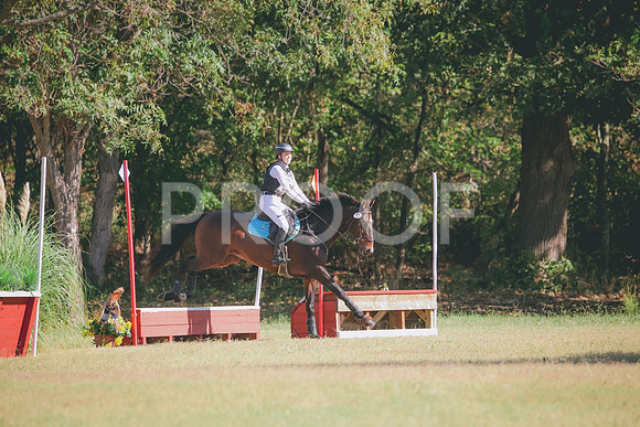 RWP_5595