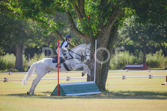RWP_5617