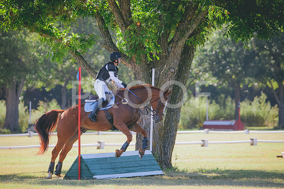 RWP_5641