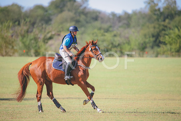 RWP_5649