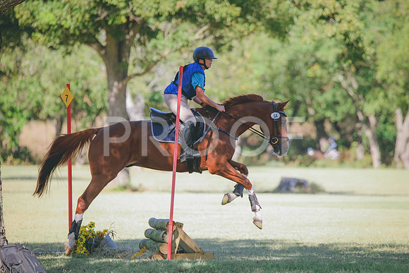 RWP_5655